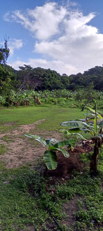 #7 - Terreno para construcción para Venta en La Guaira - X