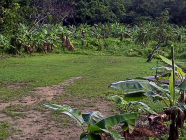 #7 - Terreno para construcción para Venta en La Guaira - X