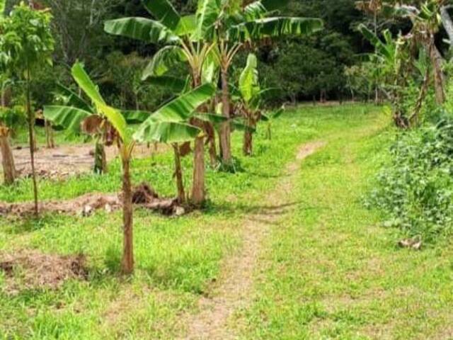 #7 - Terreno para construcción para Venta en La Guaira - X