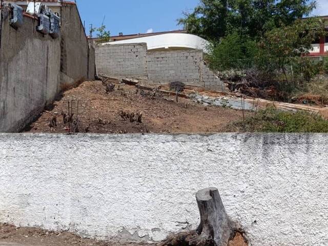 #113 - Área para Venta en La Guaira - X - 1